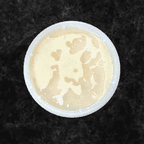 Best 20 oz. Sauce(white sauce) in Aiken, SC